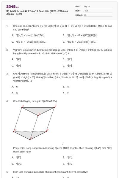 Bộ 24 đề thi cuối kì 1 Toán 11 Cánh diều (2023 - 2024) có đáp án - Đề 23
