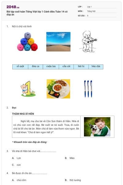 Bài tập cuối tuần Tiếng Việt lớp 1 Cánh diều Tuần 14 có đáp án