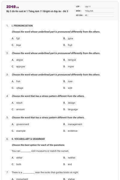 Bộ 5 đề thi cuối kì 1 Tiếng Anh 11 Bright có đáp án - Đề 3