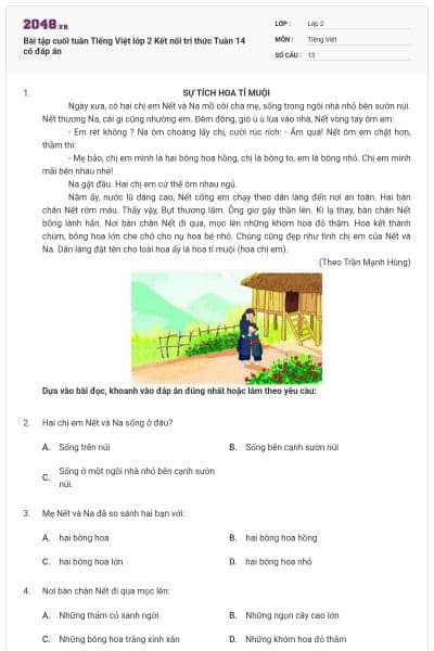 Bài tập cuối tuần Tiếng Việt lớp 2 Kết nối tri thức Tuần 14 có đáp án