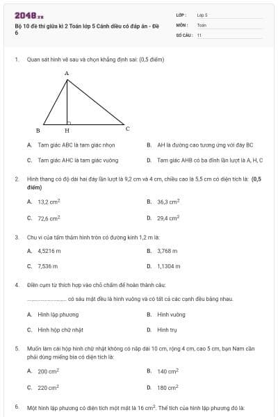 Bộ 10 đề thi giữa kì 2 Toán lớp 5 Cánh diều có đáp án - Đề 6