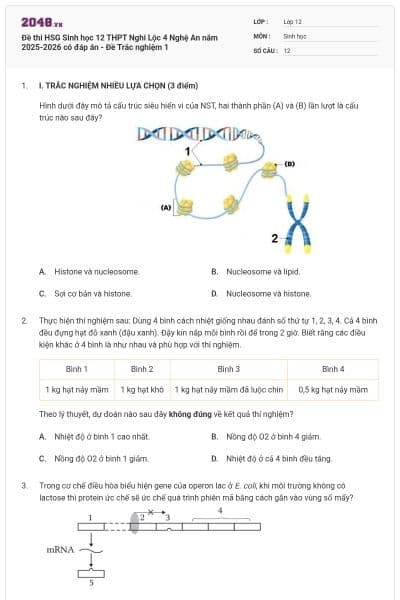 Đề thi HSG Sinh học 12 THPT Nghi Lộc 4 Nghệ An năm 2025-2026 có đáp án - Đề Trắc nghiệm 1