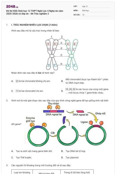 Đề thi HSG Sinh học 12 THPT Nghi Lộc 4 Nghệ An năm 2025-2026 có đáp án - Đề Trắc nghiệm 2