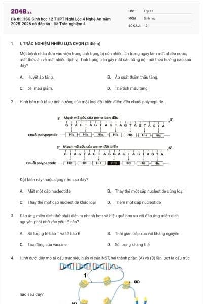 Đề thi HSG Sinh học 12 THPT Nghi Lộc 4 Nghệ An năm 2025-2026 có đáp án - Đề Trắc nghiệm 4