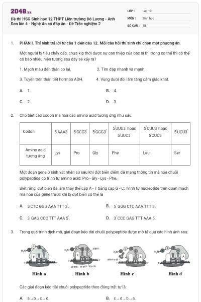 Đề thi HSG Sinh học 12 THPT Liên trường Đô Lương - Anh Sơn lần 4 - Nghệ An có đáp án - Đề Trắc nghiệm 2