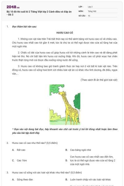 Bộ 10 đề thi cuối kì 2 Tiếng Việt lớp 2 Cánh diều có đáp án - Đề 3