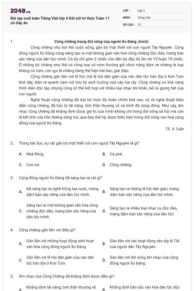 Bài tập cuối tuần Tiếng Việt lớp 4 Kết nối tri thức Tuần 11 có đáp án