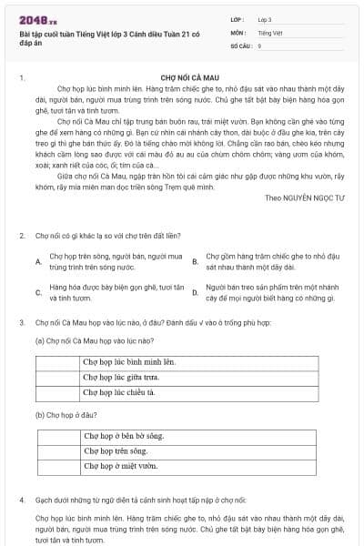 Bài tập cuối tuần Tiếng Việt lớp 3 Cánh diều Tuần 21 có đáp án