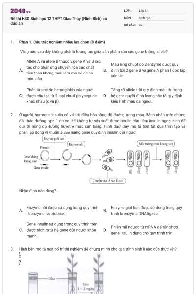 Đề thi HSG Sinh học 12 THPT Giao Thủy (Ninh Bình) có đáp án