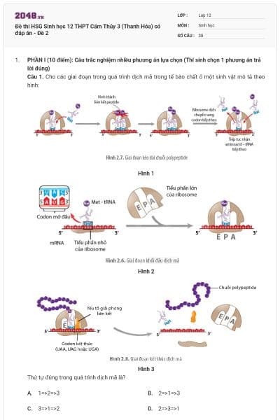 Đề thi HSG Sinh học 12 THPT Cẩm Thủy 3 (Thanh Hóa) có đáp án - Đề 2