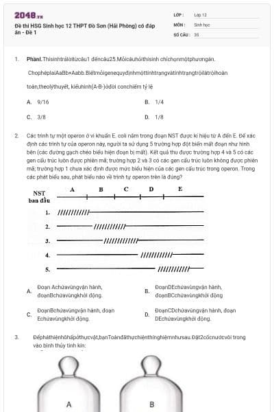 Đề thi HSG Sinh học 12 THPT Đồ Sơn (Hải Phòng) có đáp án - Đề 1