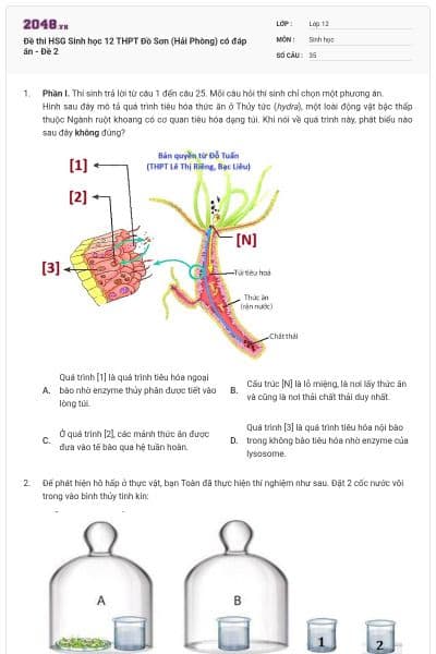 Đề thi HSG Sinh học 12 THPT Đồ Sơn (Hải Phòng) có đáp án - Đề 2