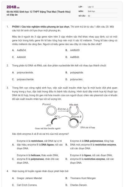 Đề thi HSG Sinh học 12 THPT Đặng Thai Mai (Thanh Hóa) có đáp án