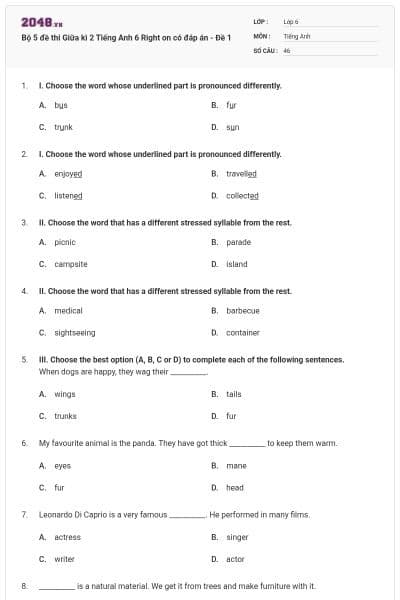 Bộ 5 đề thi Giữa kì 2 Tiếng Anh 6 Right on có đáp án - Đề 1