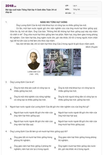 Bài tập cuối tuần Tiếng Việt lớp 4 Cánh diều Tuần 34 có đáp án