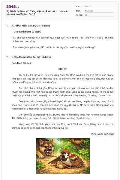 Bộ 20 đề thi Giữa kì 1 Tiếng Việt lớp 4 Kết nối tri thức cấu trúc mới có đáp án - Đề 13