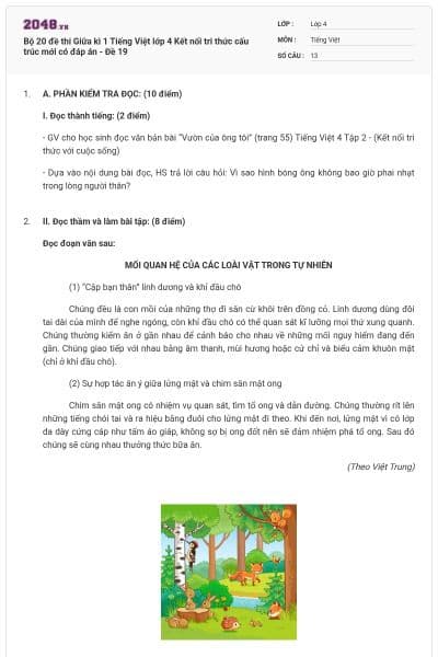 Bộ 20 đề thi Giữa kì 1 Tiếng Việt lớp 4 Kết nối tri thức cấu trúc mới có đáp án - Đề 19