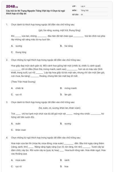 Câu hỏi ôn thi Trạng Nguyên Tiếng Việt lớp 4 Chọn từ ngữ thích hợp có đáp án