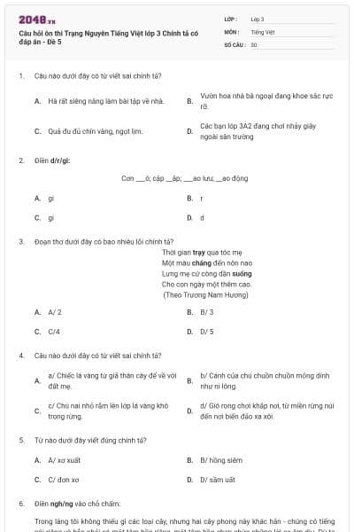 Câu hỏi ôn thi Trạng Nguyên Tiếng Việt lớp 3 Chính tả có đáp án - Đề 5