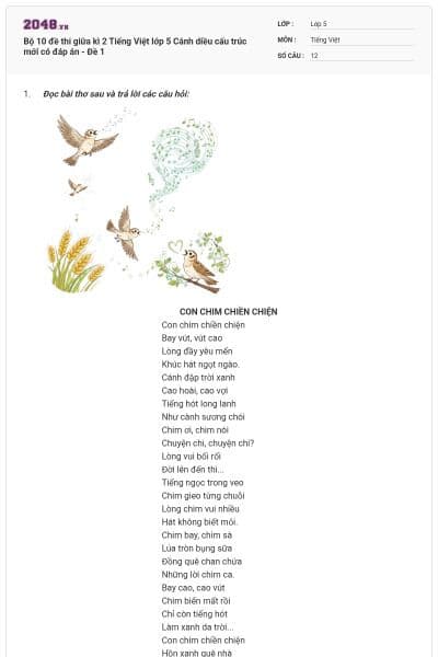 Bộ 10 đề thi giữa kì 2 Tiếng Việt lớp 5 Cánh diều cấu trúc mới có đáp án - Đề 1