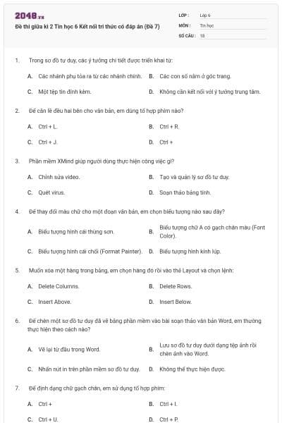 Đề thi giữa kì 2 Tin học 6 Kết nối tri thức có đáp án (Đề 7)