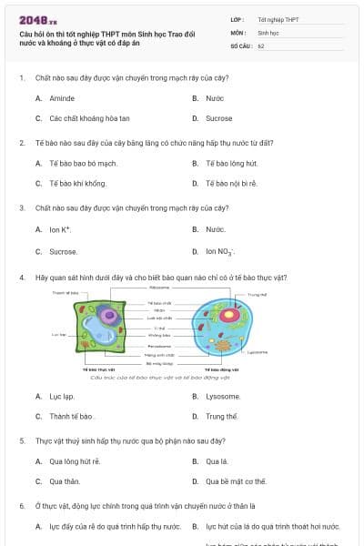 Câu hỏi ôn thi tốt nghiệp THPT môn Sinh học Trao đổi nước và khoáng ở thực vật có đáp án