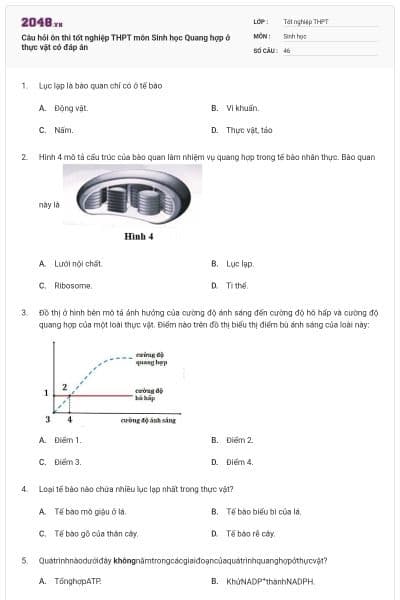 Câu hỏi ôn thi tốt nghiệp THPT môn Sinh học Quang hợp ở thực vật có đáp án