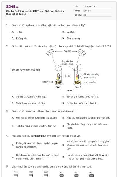 Câu hỏi ôn thi tốt nghiệp THPT môn Sinh học Hô hấp ở thực vật có đáp án