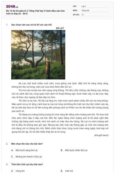 Bộ 10 đề thi giữa kì 2 Tiếng Việt lớp 5 Cánh diều cấu trúc mới có đáp án - Đề 8