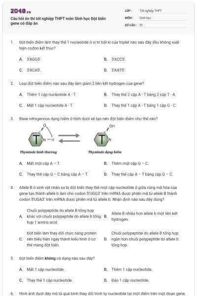 Câu hỏi ôn thi tốt nghiệp THPT môn Sinh học Đột biến gene có đáp án