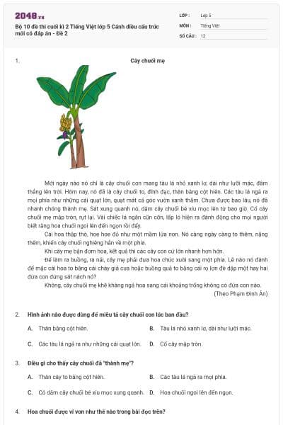 Bộ 10 đề thi cuối kì 2 Tiếng Việt lớp 5 Cánh diều cấu trúc mới có đáp án - Đề 2