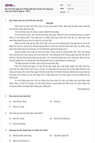 Bộ 10 đề thi giữa kì 2 Tiếng Việt lớp 5 Chân trời sáng tạo cấu trúc mới có đáp án - Đề 9