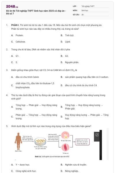 Đề ôn thi Tốt nghiệp THPT Sinh học năm 2025 có đáp án - Đề số 7