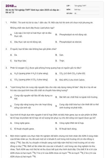 Đề ôn thi Tốt nghiệp THPT Sinh học năm 2025 có đáp án - Đề số 13