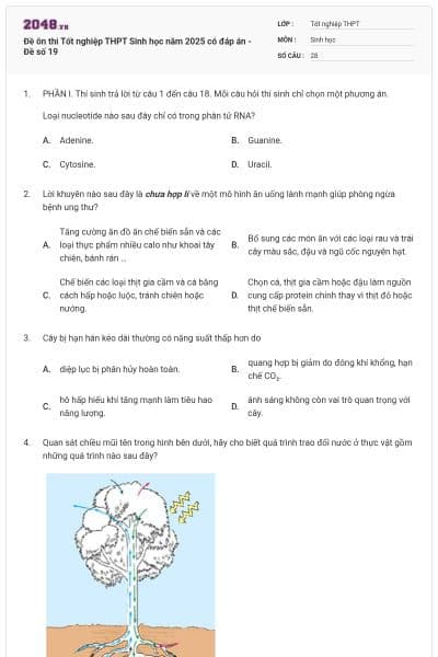 Đề ôn thi Tốt nghiệp THPT Sinh học năm 2025 có đáp án - Đề số 19