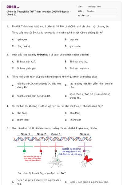 Đề ôn thi Tốt nghiệp THPT Sinh học năm 2025 có đáp án - Đề số 20