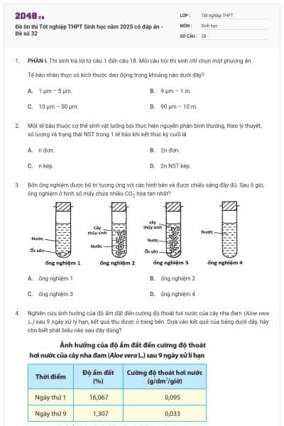 Đề ôn thi Tốt nghiệp THPT Sinh học năm 2025 có đáp án - Đề số 32