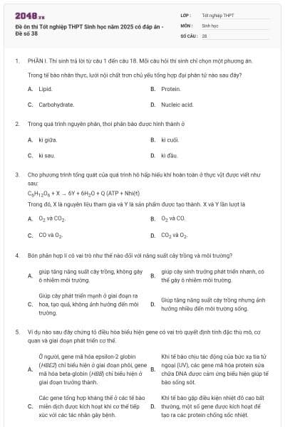 Đề ôn thi Tốt nghiệp THPT Sinh học năm 2025 có đáp án - Đề số 38