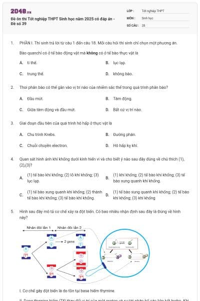 Đề ôn thi Tốt nghiệp THPT Sinh học năm 2025 có đáp án - Đề số 39