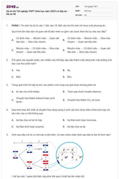 Đề ôn thi Tốt nghiệp THPT Sinh học năm 2025 có đáp án - Đề số 40