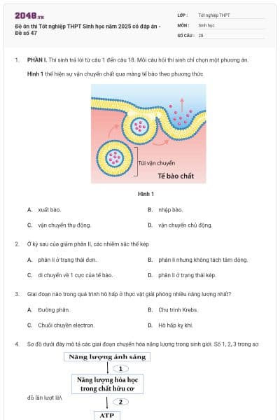 Đề ôn thi Tốt nghiệp THPT Sinh học năm 2025 có đáp án - Đề số 47