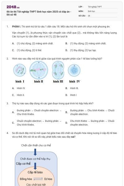 Đề ôn thi Tốt nghiệp THPT Sinh học năm 2025 có đáp án - Đề số 48