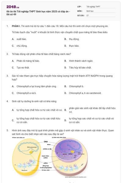 Đề ôn thi Tốt nghiệp THPT Sinh học năm 2025 có đáp án - Đề số 49