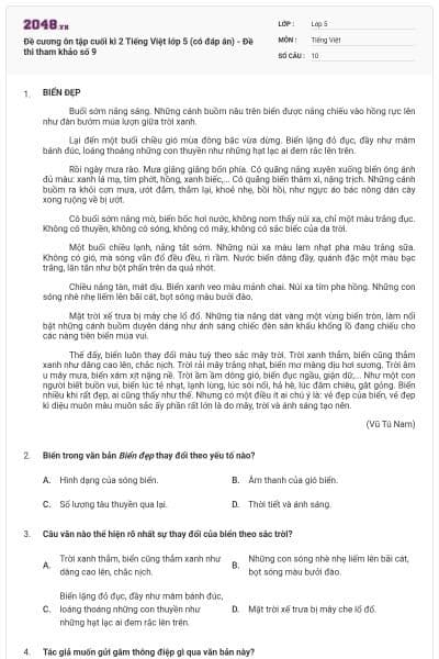 Đề cương ôn tập cuối kì 2 Tiếng Việt lớp 5 (có đáp án) - Đề thi tham khảo số 9