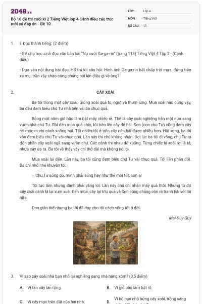 Bộ 10 đề thi cuối kì 2 Tiếng Việt lớp 4 Cánh diều cấu trúc mới có đáp án - Đề 10