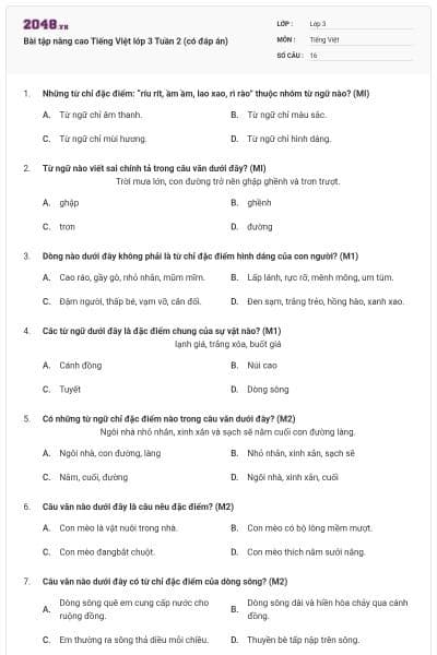 Bài tập nâng cao Tiếng Việt lớp 3 Tuần 2 (có đáp án)