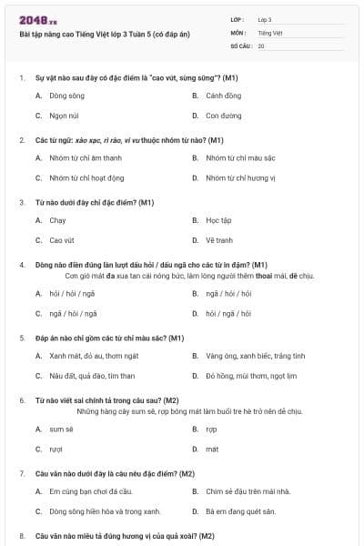 Bài tập nâng cao Tiếng Việt lớp 3 Tuần 5 (có đáp án)