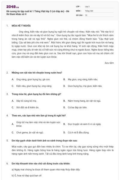 Đề cương ôn tập cuối kì 1 Tiếng Việt lớp 3 (có đáp án) - Đề thi tham khảo số 4