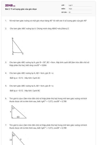 Bài 2: Tỉ số lượng giác của góc nhọn