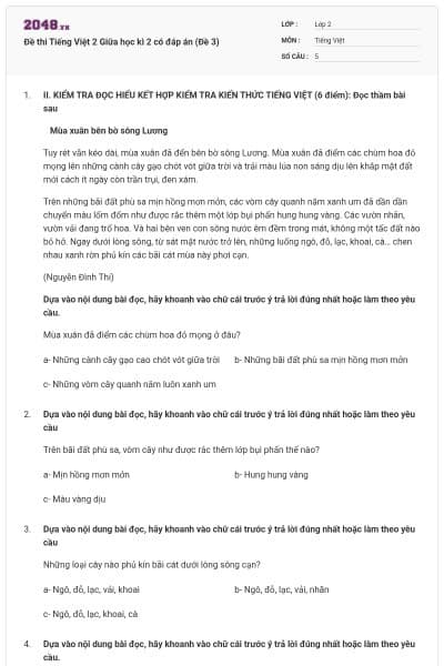 Đề thi Tiếng Việt 2 Giữa học kì 2 có đáp án (Đề 3)